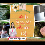 ထံၫနီၪ ၥိၩ့ထၪ့ဘဲၫ ထီး ဆံၭ (၁)