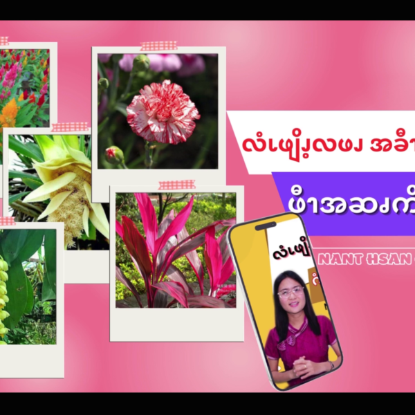 ဖီၫအဆၧကိၭလဖၪ (၇)