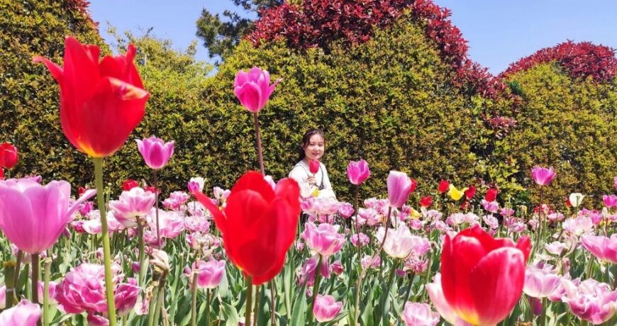 န့ဘၪဆၧအပျီၩနီၪဧၪ