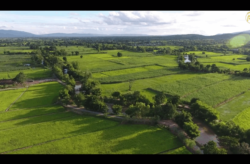 ၥၭဘၪ့ဒဲ ဂၪ့ခိၪနဲၩ့ဎီၩ့ (၂) 