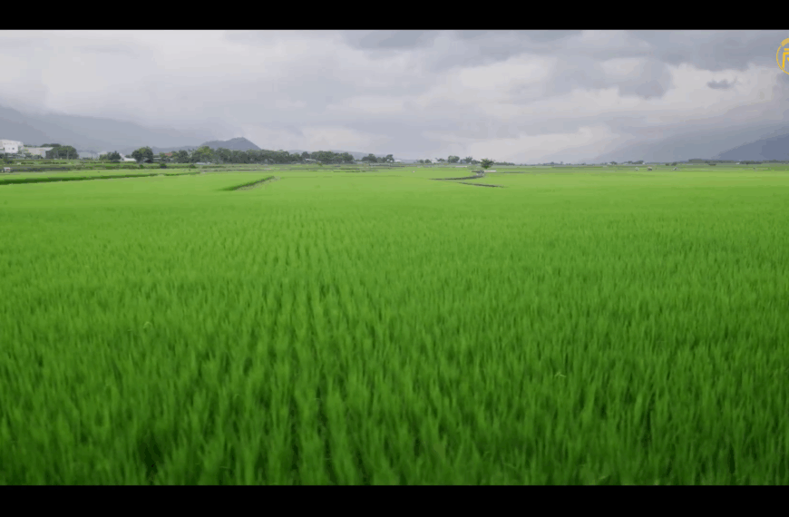 ထံၫထၪကျိၩ့ခးဒီၪ့လဝၩ့ဖၭဒိၪနီၪမွဲၡၩအဆၧဝံဆၧနၬအီၪဎူၫခွးဘျဲၪလီၫလကၭဘၪဘၪအၪ့န့ထၬ မူၩဒၩဒံၭလၧခးပယၩ့ ဂူၫဆၫစဲၪ့ထၪ့ဖိၬဘိၭၥၧၫ့ပိၩ့ကပိၩ့အလး