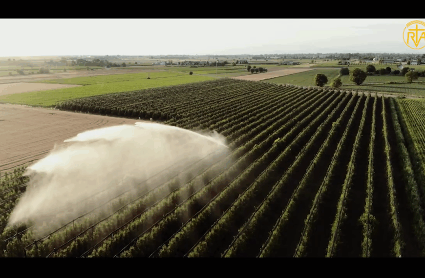 ဆၧၥုၪ့ဆၧဖျၭဆၧမၩဒဲ စီၩ့ဒိၪဆၧပိၭဆၧလၫ့လဖၪ အဆၧလၩ့အၪ့ယိၫ (၁)