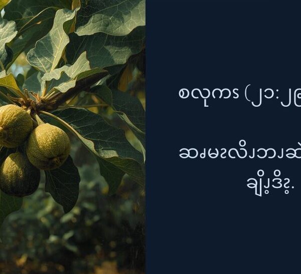 ဆၧမၩလိၪဘၪဆဲၫ့လၧၥံၪ့ချိၪ့ဒိၩ့. (စလုကၭ (၂၁:၂၉-၃၃)