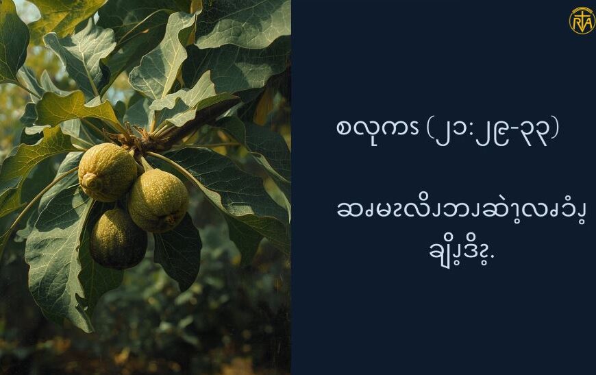 ဆၧမၩလိၪဘၪဆဲၫ့လၧၥံၪ့ချိၪ့ဒိၩ့. (စလုကၭ (၂၁:၂၉-၃၃)