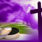 မုကိၭနံၩဆၧၥၭထိၬပရၧၫ့