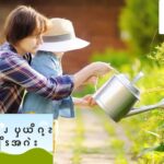 ပကဘၪကဲၪ ၦယိဂ့ၩယိဘၪကျိၭအဂဲး