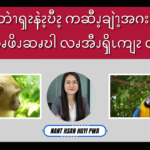 ဘဲၫၡၩနဲၩ့ဎီၩ့ကဆီၪ့ချဲၫ့အဂးယိထွ့ၫဆၧဖိၪဆၧဎါလၧအီၪၡိၬကျၩလဖၪဆံၭ