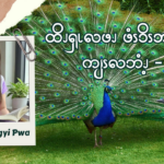 ထိၪၡၬလဖၪ ဖံၭၥိၭဘၪမၪလၧ ကျၭလဘံၪ့ – ၃