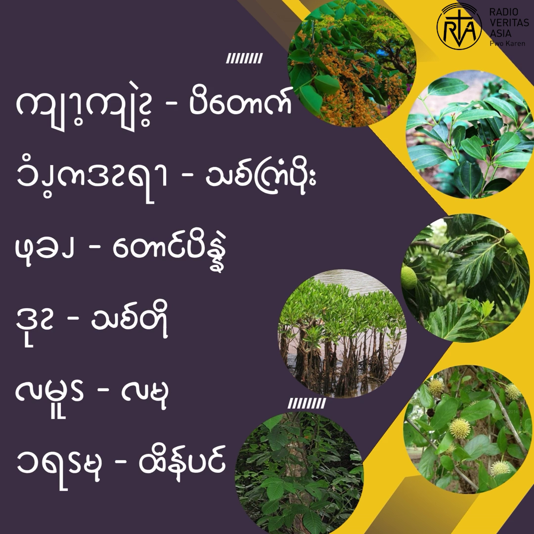 ၥံၪ့အဆၧကိၭလဖၪ – ၈